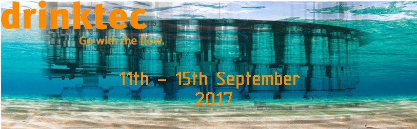 Damos vida a tus proyectos